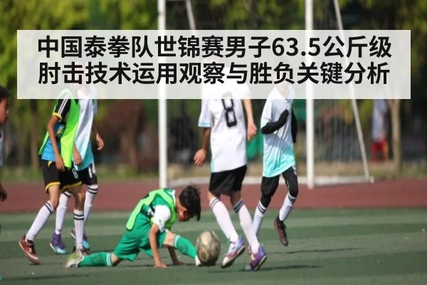 中国泰拳队世锦赛男子63.5公斤级肘击技术运用观察与胜负关键分析