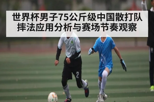 世界杯男子75公斤级中国散打队摔法应用分析与赛场节奏观察
